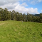 big field