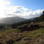 IMG_0379
