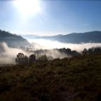 IMG_0490
