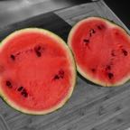  melon