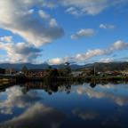 IMG_1447