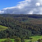 DSC01308A.jpg